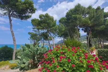 Cavallino Sea House Cefalù Eksteriør bilde